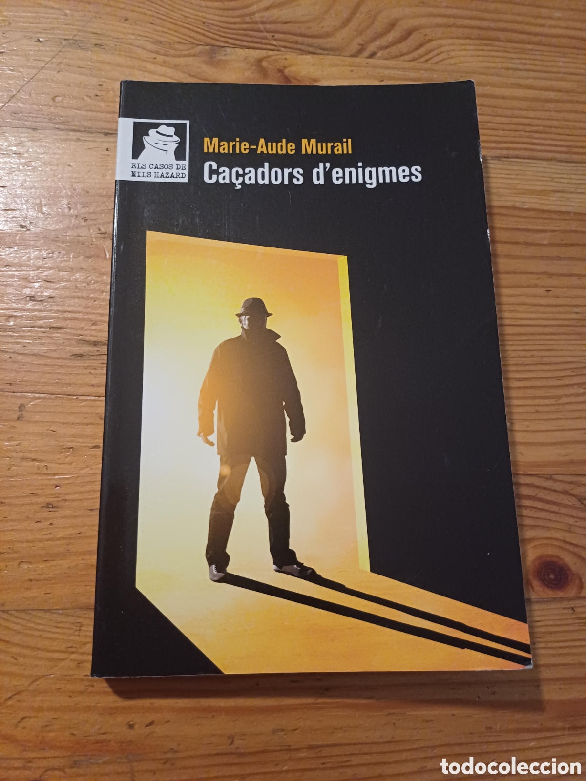 Libri di seconda mano: Ca&ccedil;adors d'enigmes Marie-Aude Murail Els casos de Nils Hazard En catal&agrave;