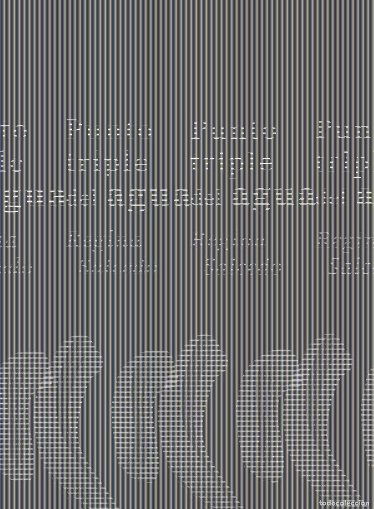 Livros em segunda m&atilde;o: SALCEDO, Regina. - Punto triple del agua.