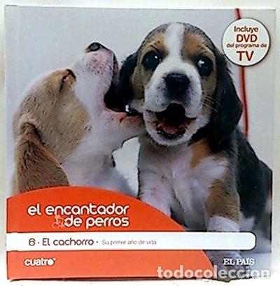 books: El encantador de perros, 6: El cachorro- 9788496390669