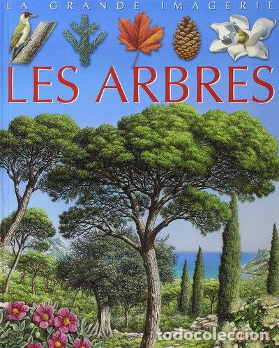 Libros: Les arbres- 9782215088592