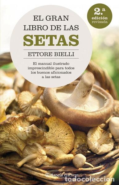 Libros: El gran libro de las setas- 9788408062615