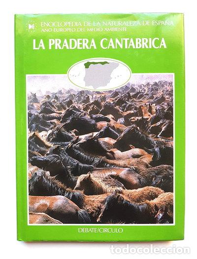 Libros: La pradera cant&aacute;brica- 9788474442922