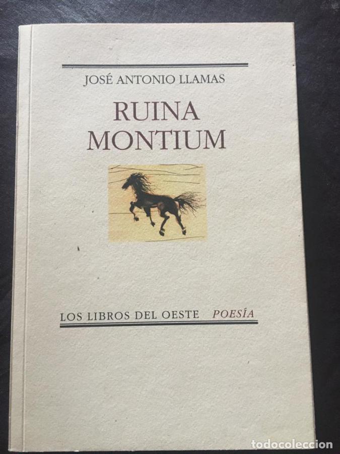 books: Ruina montium - LLAMAS, JOS&Eacute; ANTONIO