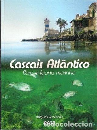 B&uuml;cher: Cascais Atl&acirc;ntico: Flora e fauna marinha- 9789899600508