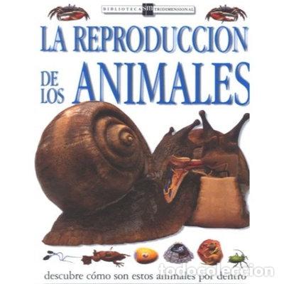 Libros: La reproducci&oacute;n de los animales- 9788434860889