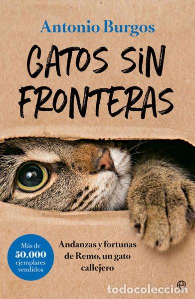 B&uuml;cher: Gatos sin fronteras- 9788491644248