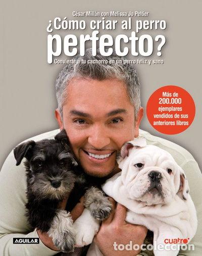 B&uuml;cher: &iquest;C&oacute;mo criar al perro perfecto?- 9788403097421
