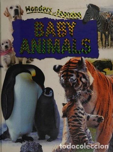 Libros: Baby Animals- 9780755480401