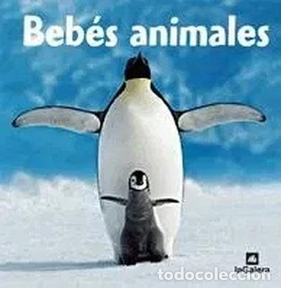 books: Beb&eacute;s animales- 9788424624989