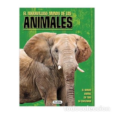 Libros: El maravilloso mundo de los animales- 9788416377213