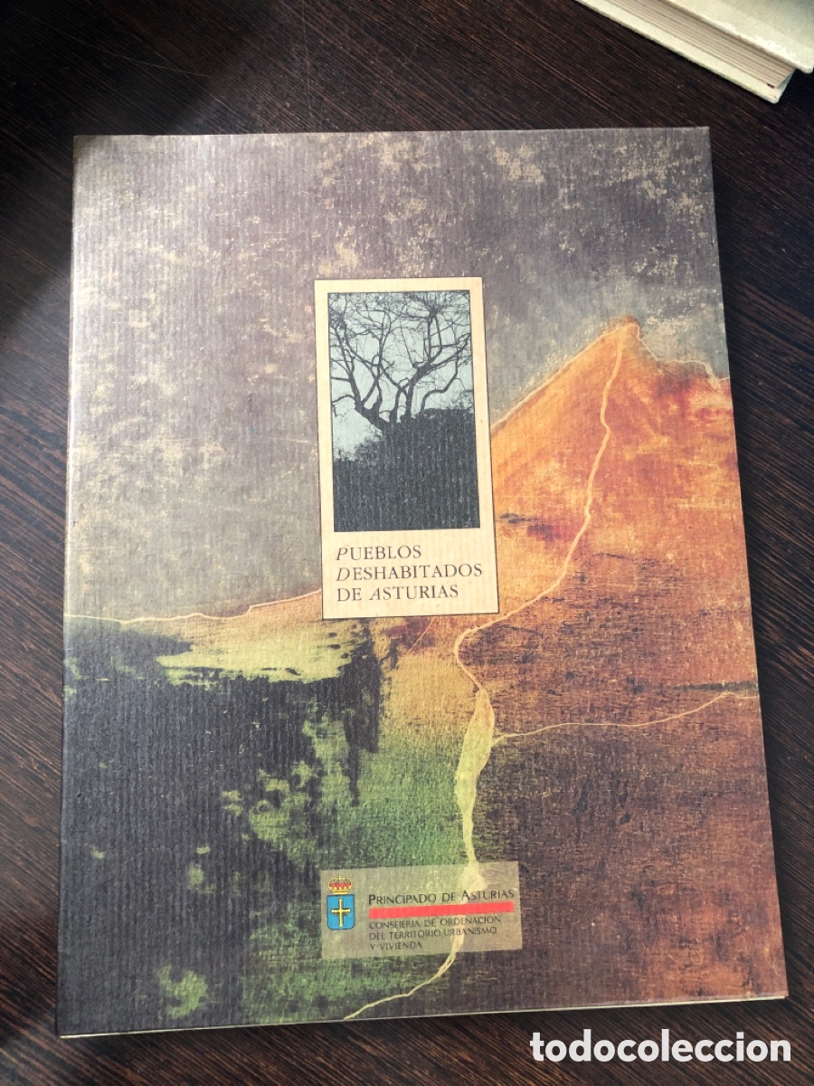 Libri di seconda mano: PUEBLOS DESHABITADOS DE ASTURIAS CONSEJERIA DE ORDENACION DEL TERRITORIO URBANISMO Y VIVIENDA