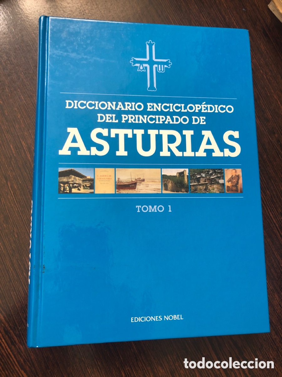 Livres: DICCIONARIO ENCICLOPEDICO DEL PRINCIPADO DE ASTURIAS TOMO I EDICIONES NOBEL