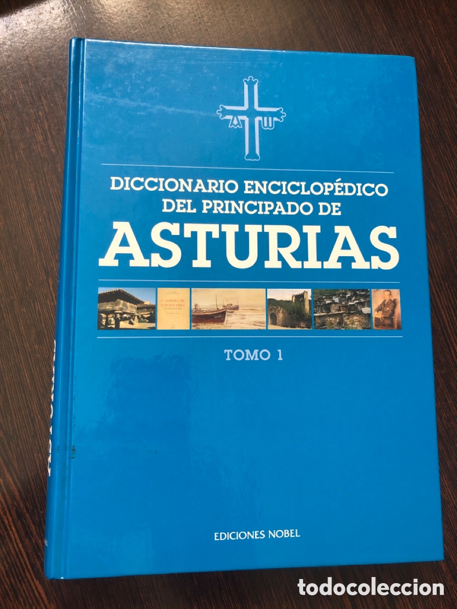 Livres: DICCIONARIO ENCICLOPEDICO DEL PRINCIPADO DE ASTURIAS TOMO I