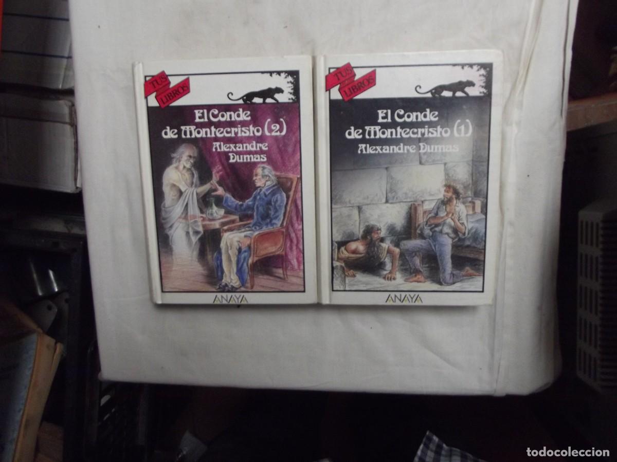 Libros: EL CONDE DE MONTECRISTO DE ALEJANDRO DUMAS 2 TOMOS ANAYA