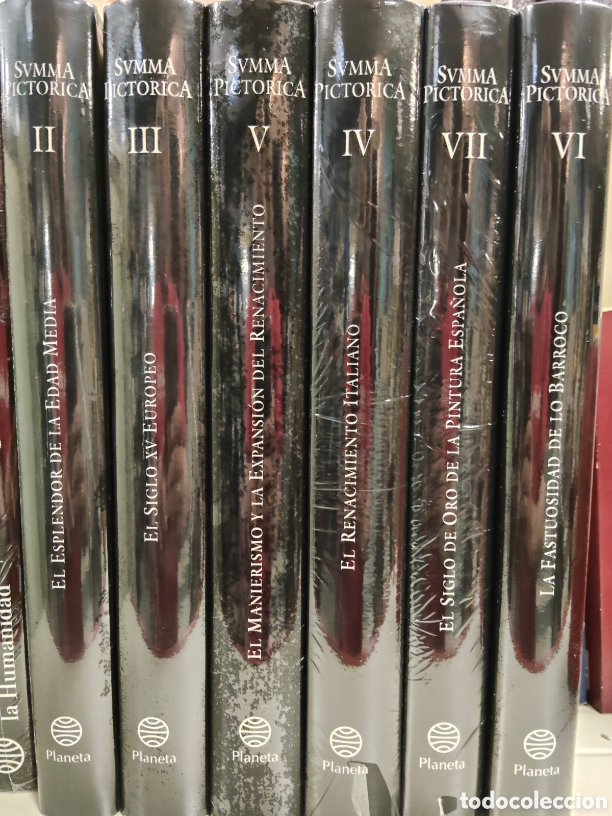 Libros: Colecci&oacute;n vol&uacute;menes SUMMA PICTORICA