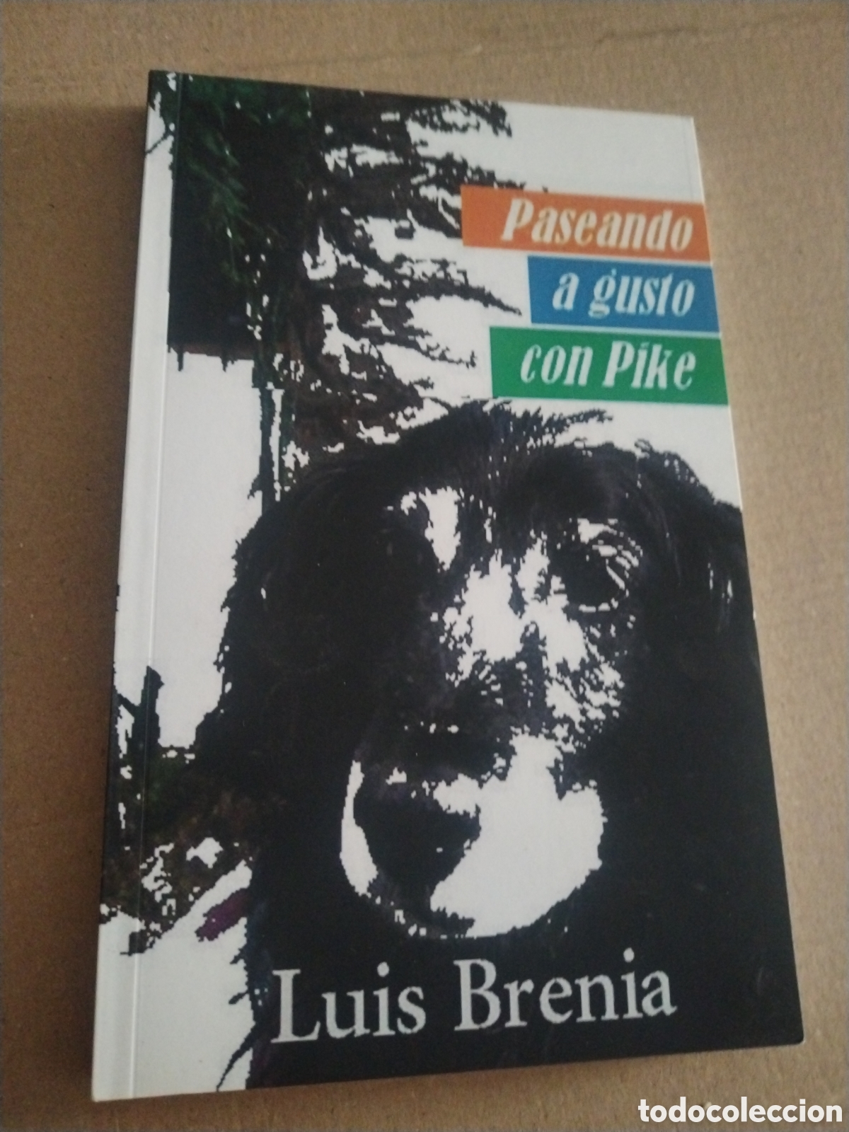 Libros: Paseando a gusto con Pike. Luis Brenia