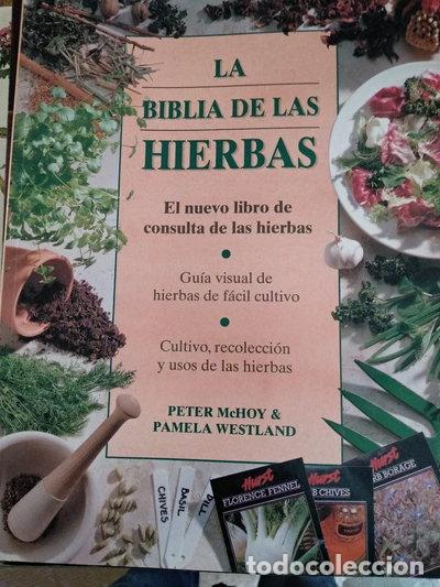 Livros em segunda m&atilde;o: La Biblia de las Hierbas- 9783829003384