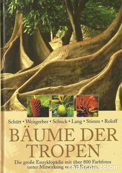 Livres: B&auml;ume der Tropen- 9783933203793