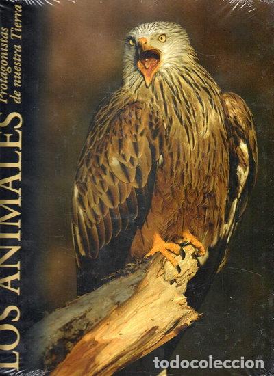 Libros: Los animales, protagonistas de nuestra tierra: Bosques- 9788484472636