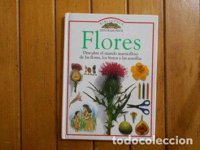 books: Flores- 9788434837393