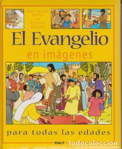 Livres: El Evangelio en im&aacute;genes- 9788432134456