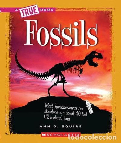 Libros: Fossils- 9780531262504