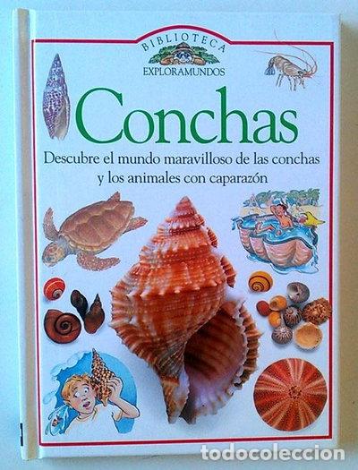 Libri di seconda mano: Conchas- 9788434839953