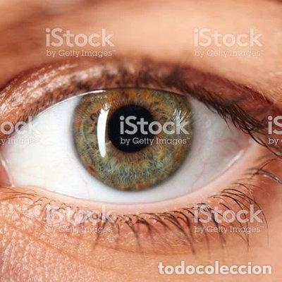 B&uuml;cher: La enfermedad de ojo seco: Mitos y realidades- 9788412181708