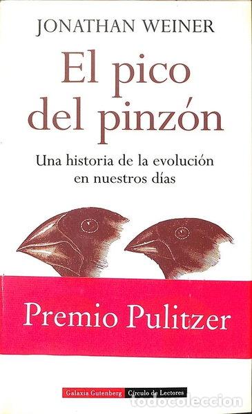 B&uuml;cher: El pico del pinz&oacute;n- 9788481093650