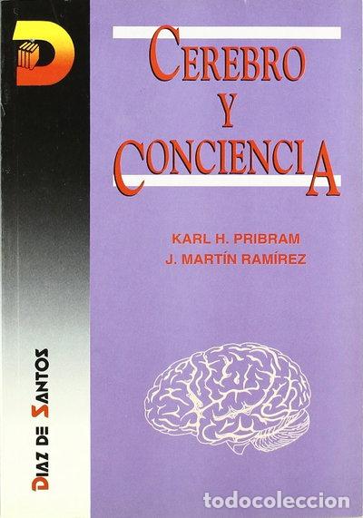 books: Cerebro y conciencia- 9788479782047