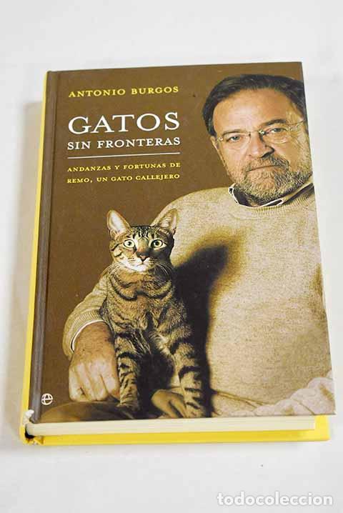 Libros: Gatos sin fronteras: andanzas y fortunas de Remo, un gato callejero.- Burgos, Antonio