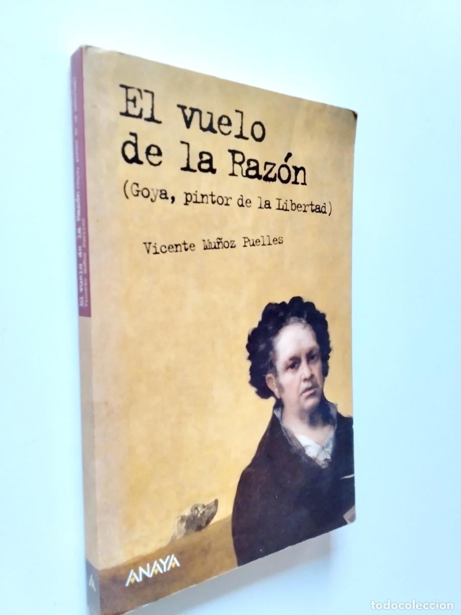 books: Vicente Mu&ntilde;oz Puelles - El vuelo de la raz&oacute;n (Goya, pintor de la libertad)