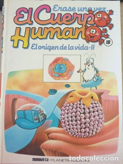 Libros: &Eacute;rase una vez el cuerpo humano, 18. El origen de la vida, el. (Tomo 2)- 9788477121275