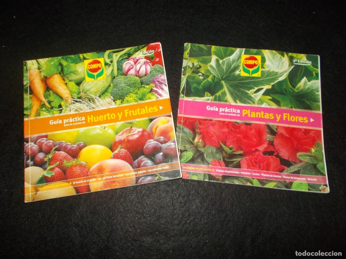 Libros: 2 GU&Iacute;A PR&Aacute;CTICA COMPO Cuidado de HUERTO Y FRUTALES y PLANTAS Y FLORES. Libro. Ver fotos