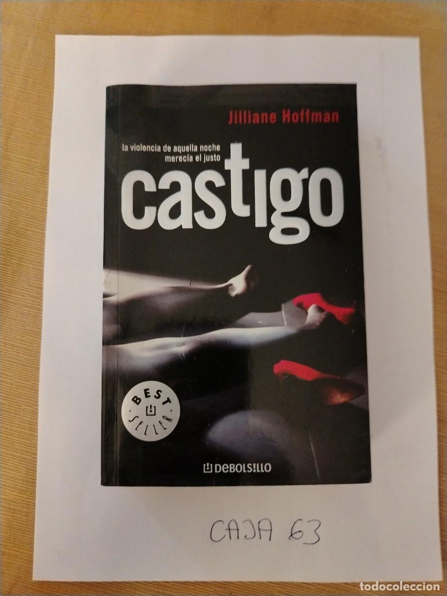 Libros: Libro castigo, jilliane Hoffman, la violencia de aquella noche merec&iacute;a el justo