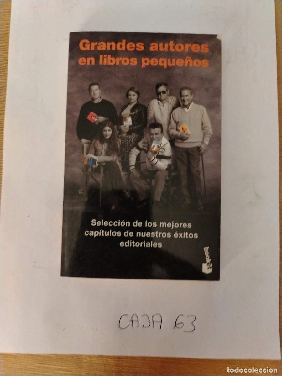 Libros: Libro grandes autores en libros peque&ntilde;os, selecci&oacute;n de los mejores cap&iacute;tulos de nuestros &eacute;xitos edit