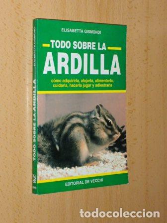 Libri di seconda mano: TODO SOBRE LA ARDILLA - Gismondi, Elisabetta