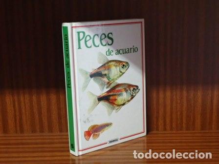 Livres: PECES DE ACUARIO - Petrovich&yacute;, Ivan