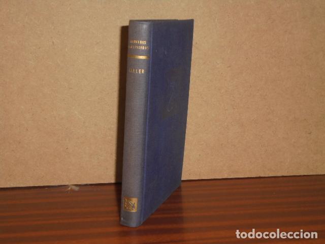 Libros: TALLER - Ballesteros, Mercedes