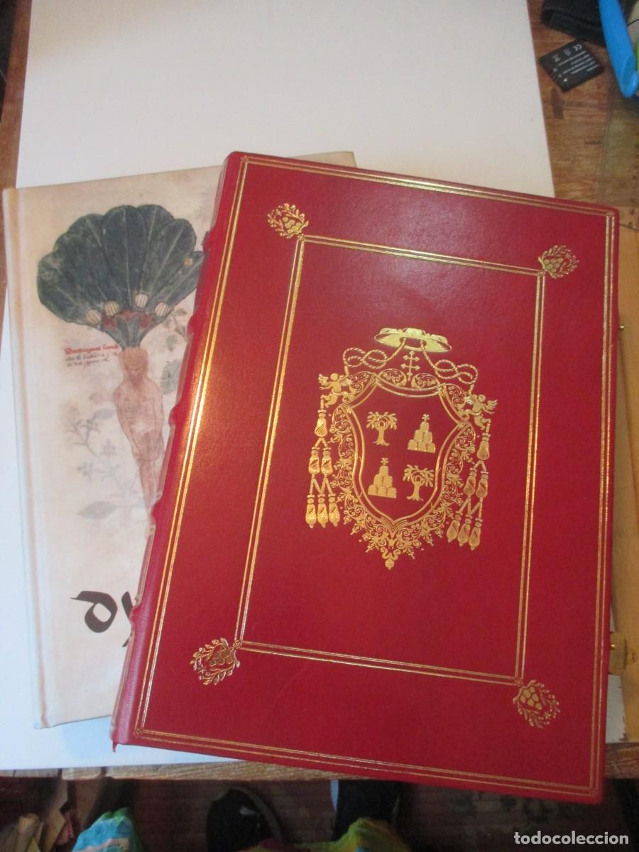Libros: Diosc&oacute;rides Latino ( Facsimil + estudio) W41540