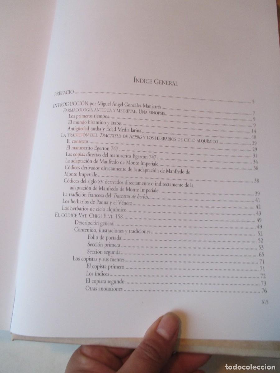 Libros: Diosc&oacute;rides Latino ( Facsimil + estudio) W41540 - Foto 8