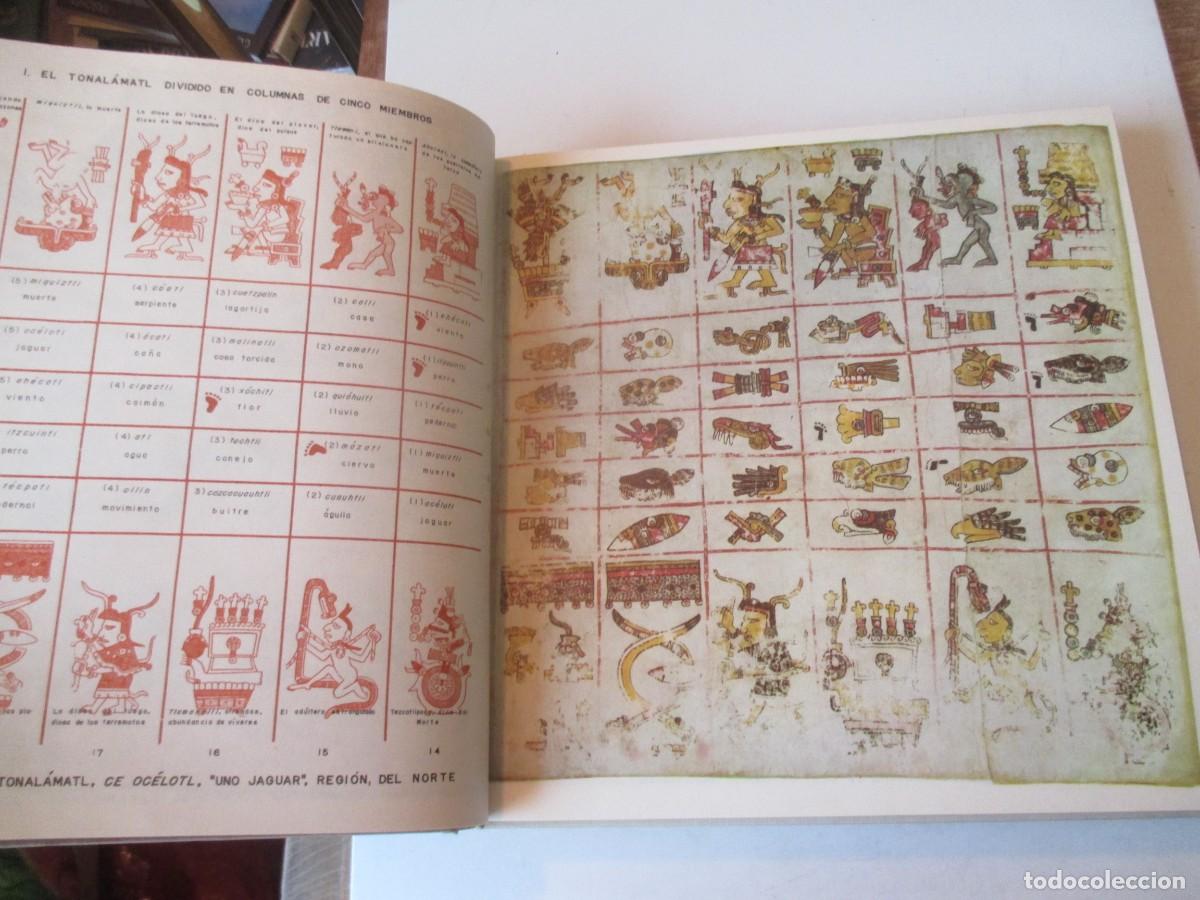 Libros: CODICE BORGIA (Facsiml + 2 ejemplares de estudio en caja) W41541 - Foto 5