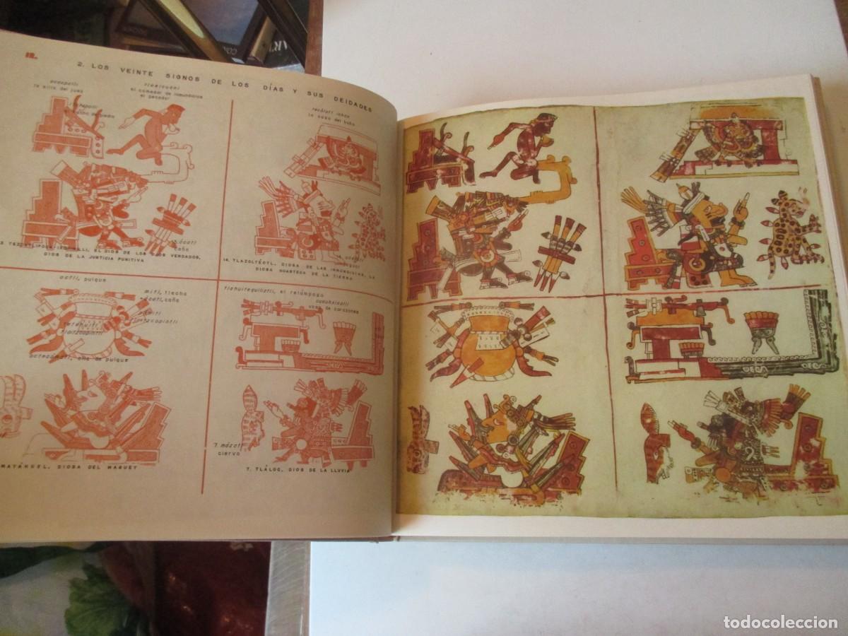 Libros: CODICE BORGIA (Facsiml + 2 ejemplares de estudio en caja) W41541 - Foto 6