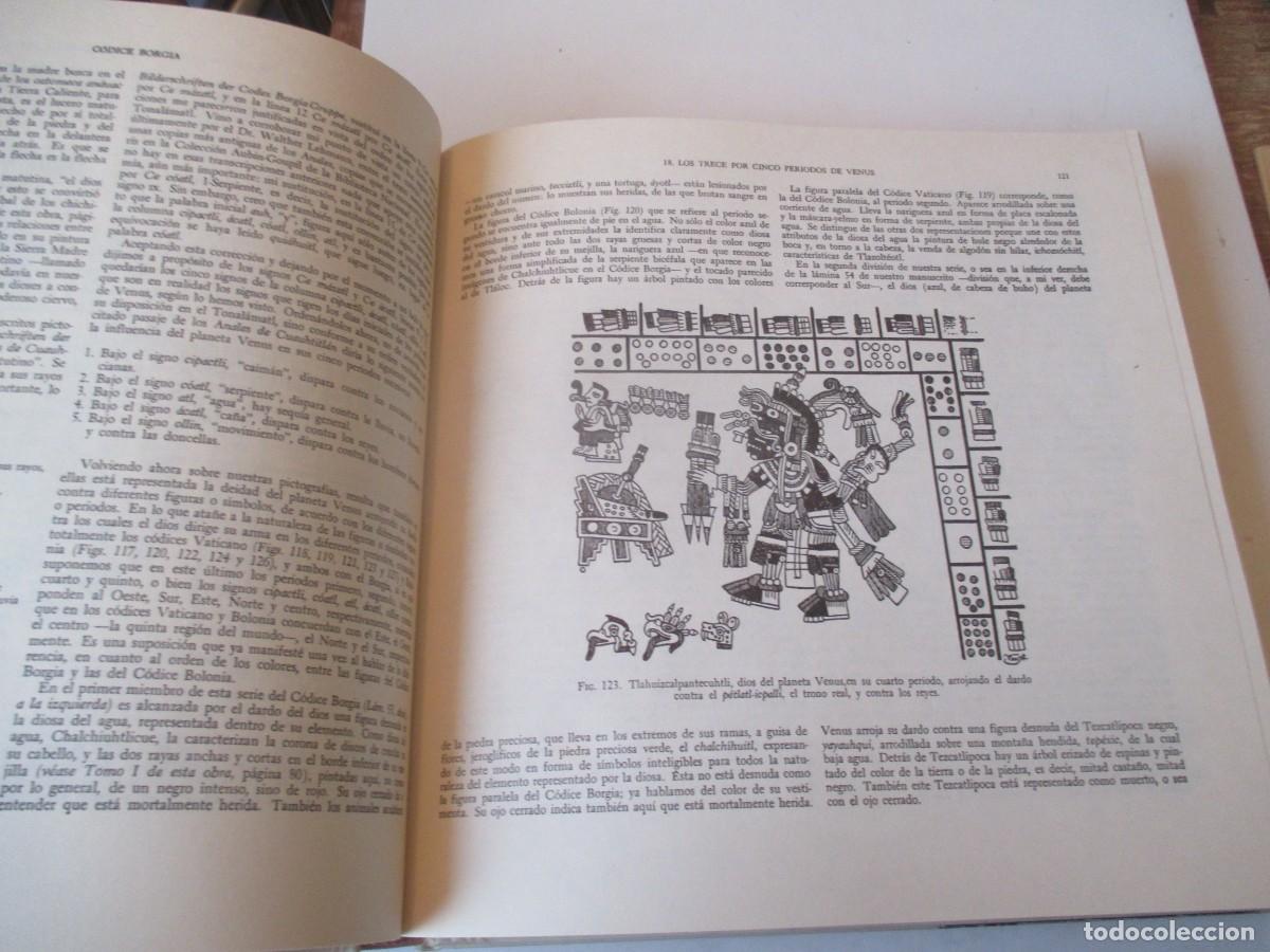 Libros: CODICE BORGIA (Facsiml + 2 ejemplares de estudio en caja) W41541 - Foto 13
