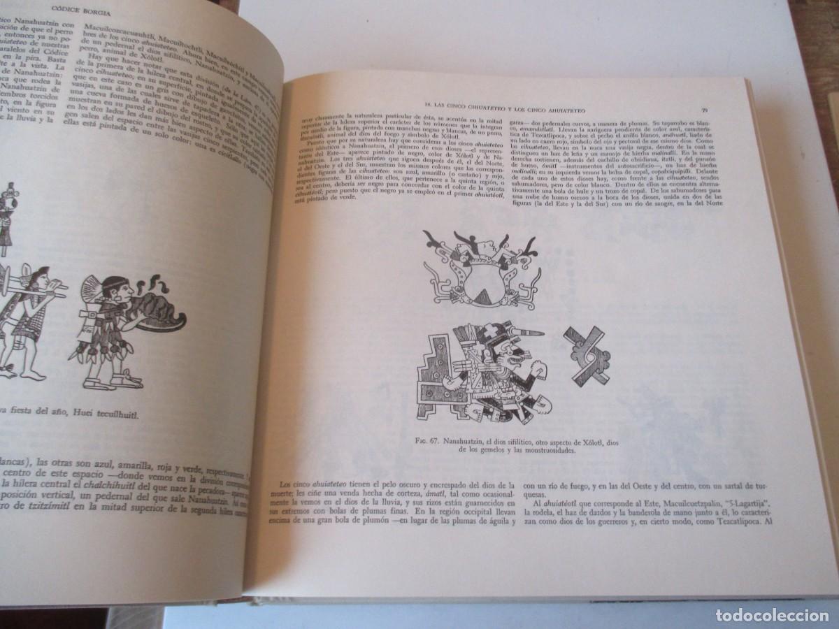 Libros: CODICE BORGIA (Facsiml + 2 ejemplares de estudio en caja) W41541 - Foto 14