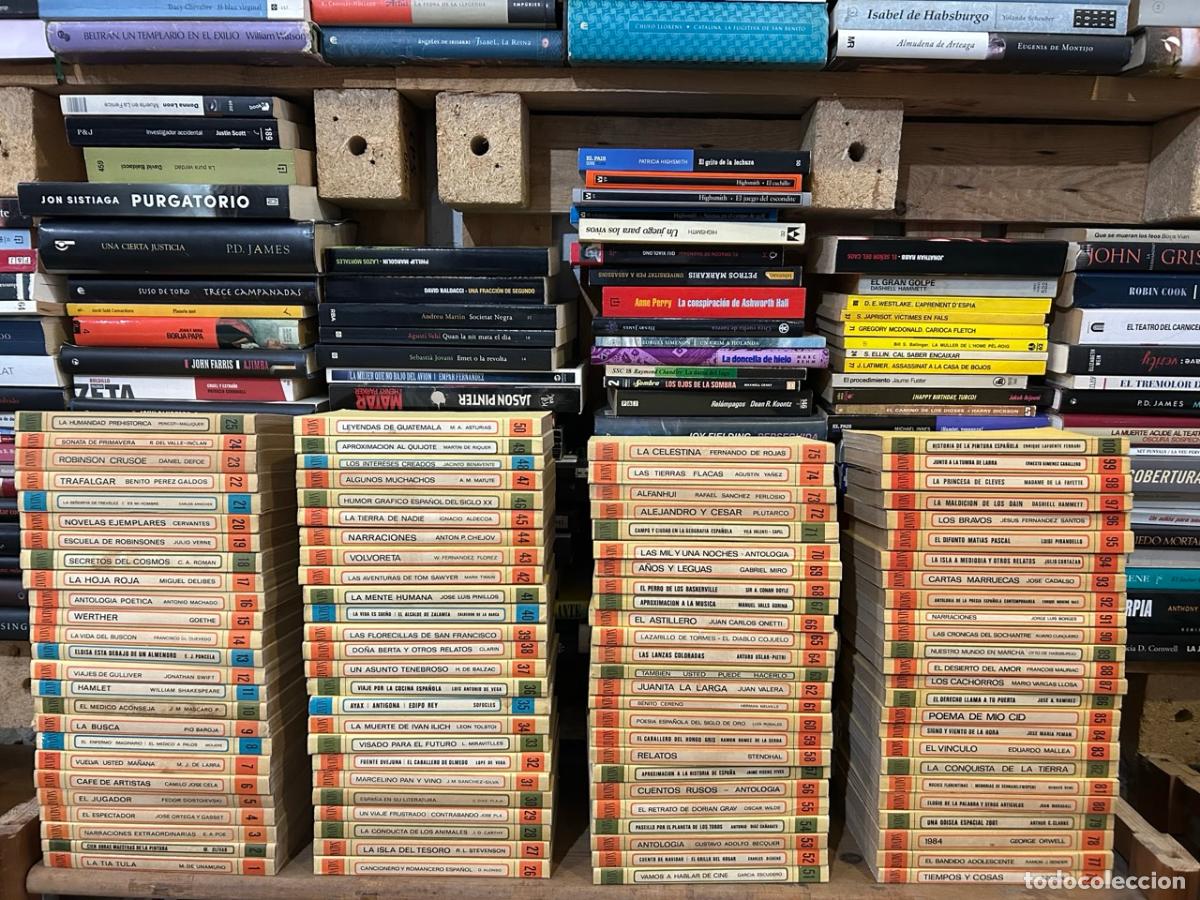 Livres: Biblioteca B&aacute;sica Salvat RTV Completa 100 Tomos