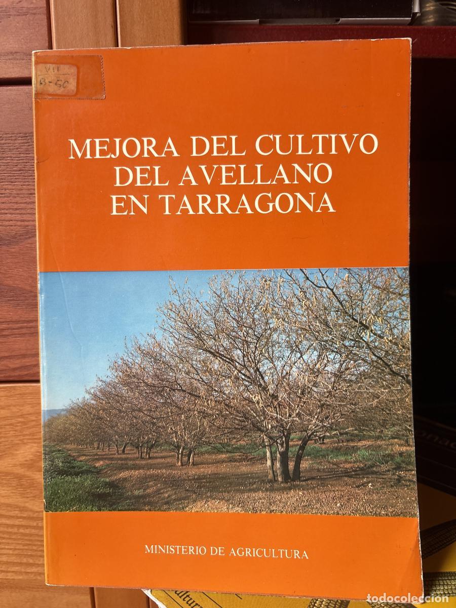 Libri di seconda mano: Mejora del cultivo del avellano en Tarragona - Salvador Canela Pujol tdk271