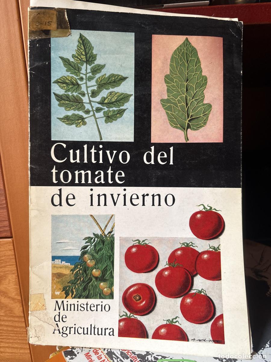 books: Cultivo del tomate de invierno - tdk271