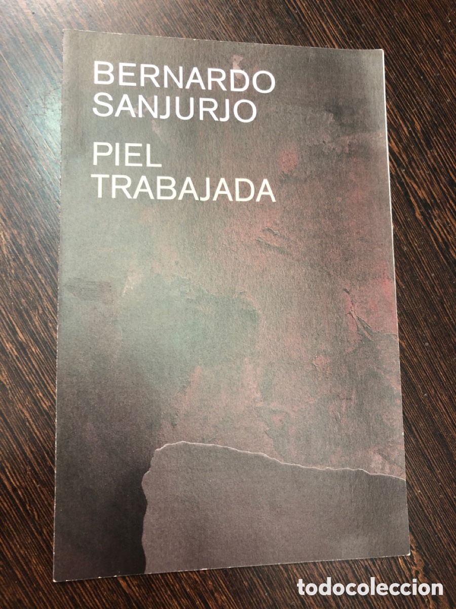 Libros: BERNARDO SAN JURJO PIEL TRABAJADA EXPOSICION MUSEO DE BELLAS ARTES DE ASTURIAS 2021