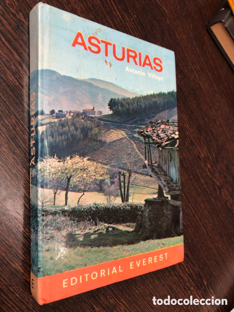 Libros: ASTURIAS ANTONIO VI&Ntilde;AYO EDITORIAL EVEREST